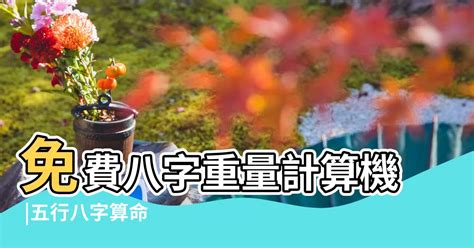 八字兩|免費八字輕重計算機、標準對照表查詢、意義解說。